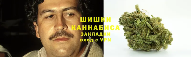 Шишки марихуана Ganja  Пыталово 